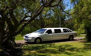 White stretch Ford limousine in the countryside